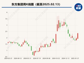 流动资金紧张 东方集团称无法按期归还6.29亿元募集资金