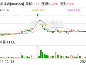 莱茵体育：证券简称自2月14日起变更为“天府文旅”