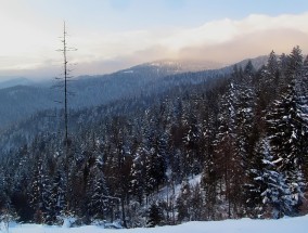 湖北下雪了，冬日里的惊喜与独特风情  湖北下雪