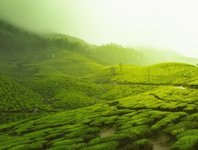 思茅与普洱，一场关于名称的探寻与解析  思茅是普洱吗