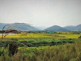 丽水市区一日游攻略，探寻生态美景，体验文化韵味  丽水市区一日游攻略