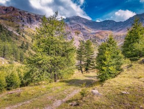 凉山十大旅游景点，探索自然与文化的魅力  凉山十大旅游景点