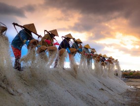 上海传统武术，历史、传承与现代发展  上海传统武术