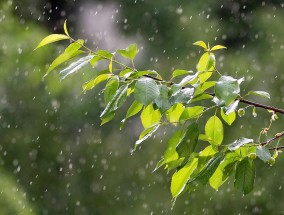 徐州地区天气预报  徐州地区天气预报