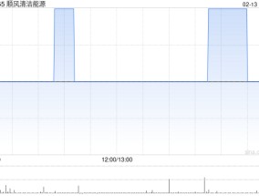 顺风清洁能源就约2.89亿港元的财务义务被提交清盘呈请