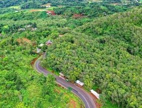 砚山县盆栽园艺基地，绽放的绿色产业之光  砚山县盆栽园艺基地