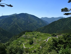 成都新都区五龙村天气预报详解  成都新都区五龙村天气预报