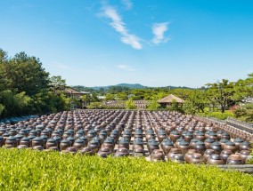 宾阳南宁的天气，探索与体验  宾阳 南宁 天气