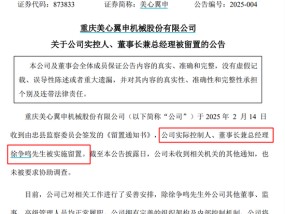 突发！有上市公司董事长被留置