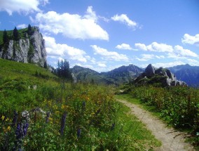 剑门关风景区联系电话号码——探索自然与历史的绝佳之地  剑门关风景区联系电话号码