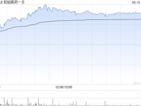 和铂医药-B2月10日斥资240.4万港元回购59.1万股