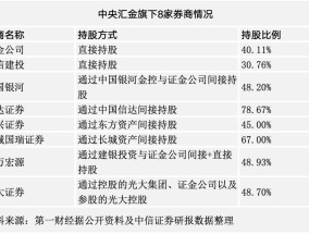 “汇金系”券商版图扩大引并购猜想，2025年券业整合再提速？