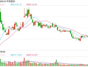 中伟股份拟赴港IPO：A股上市四年直接融资超百亿 募投项目延期变更海外扩张接连受挫