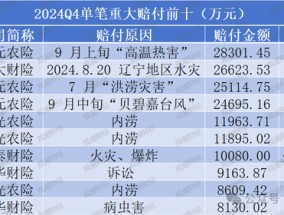 2024Q4重大赔付金额超35亿！国元、英大、阳光、华泰、中华财险列赔金Top10