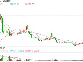 原龙湖智创生活CEO刘兴伟离职，负责C4航道物业管理、商办运营