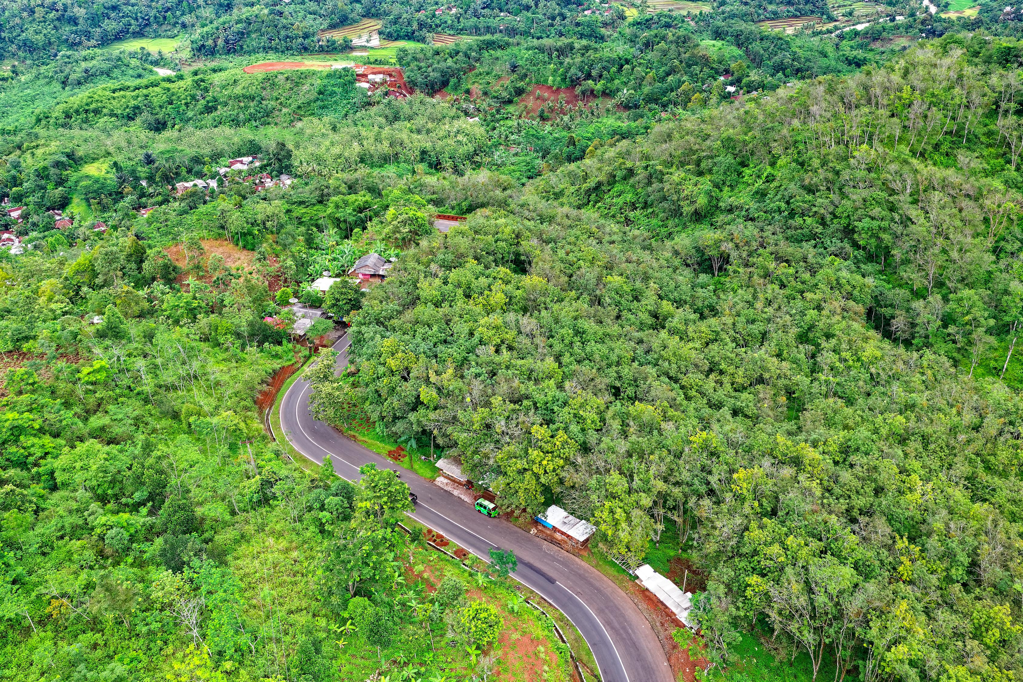 砚山县盆栽园艺基地，绽放的绿色产业之光  砚山县盆栽园艺基地