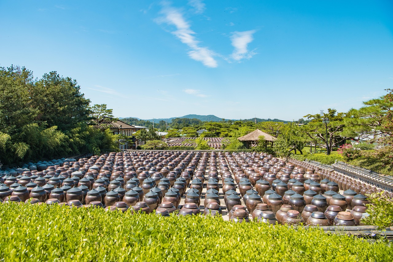 农广天地种植全视频，农业技术的深度探索与实践指南  农广天地种植全部视频