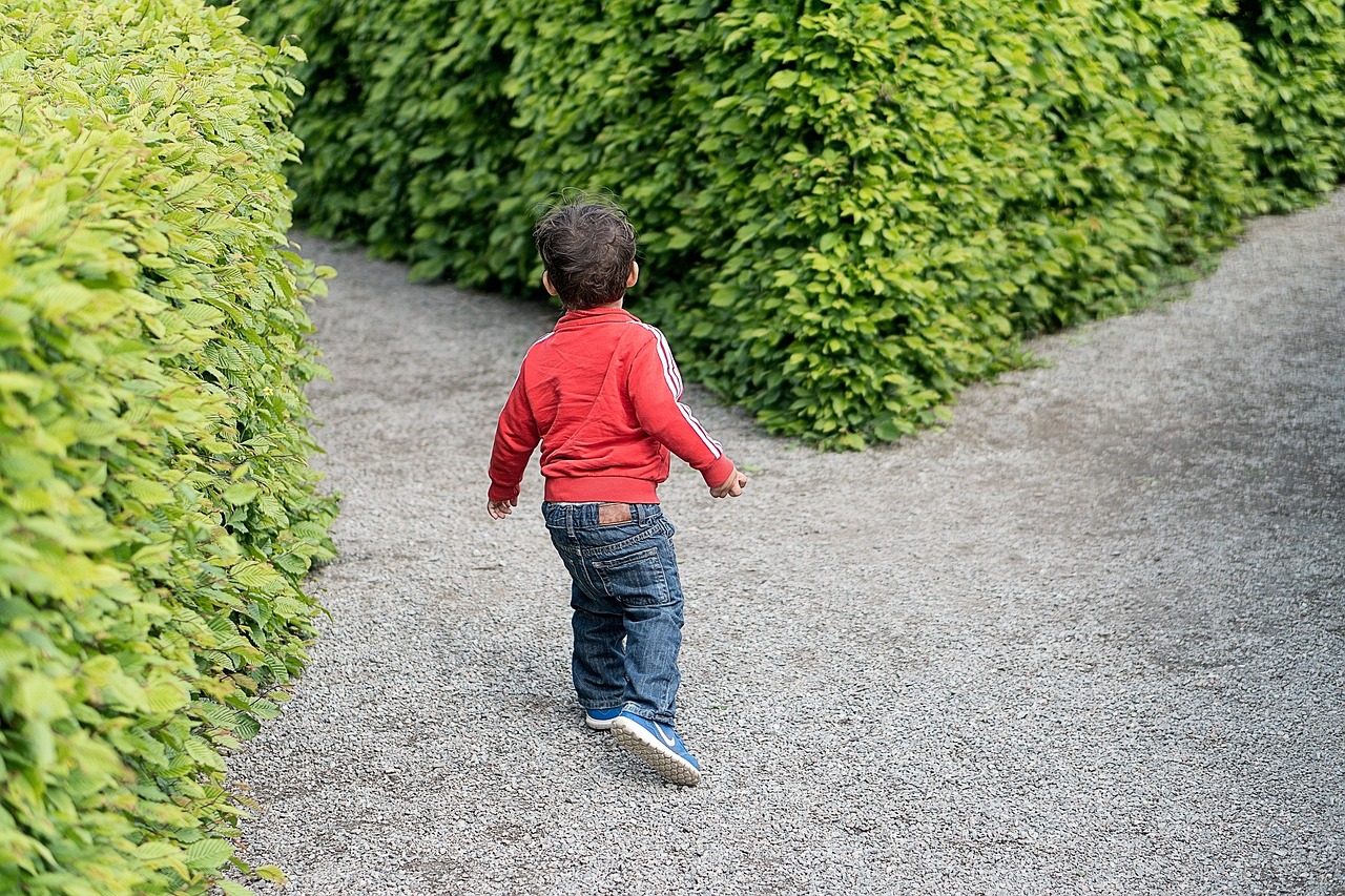 后疫情时代茶叶的出口，挑战与机遇并存  后疫情时代茶叶的出口