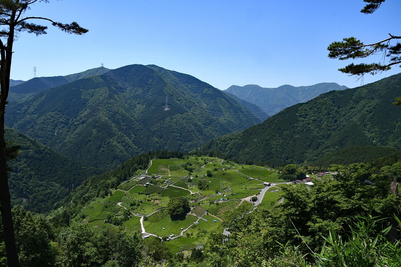 成都新都区五龙村天气预报详解  成都新都区五龙村天气预报