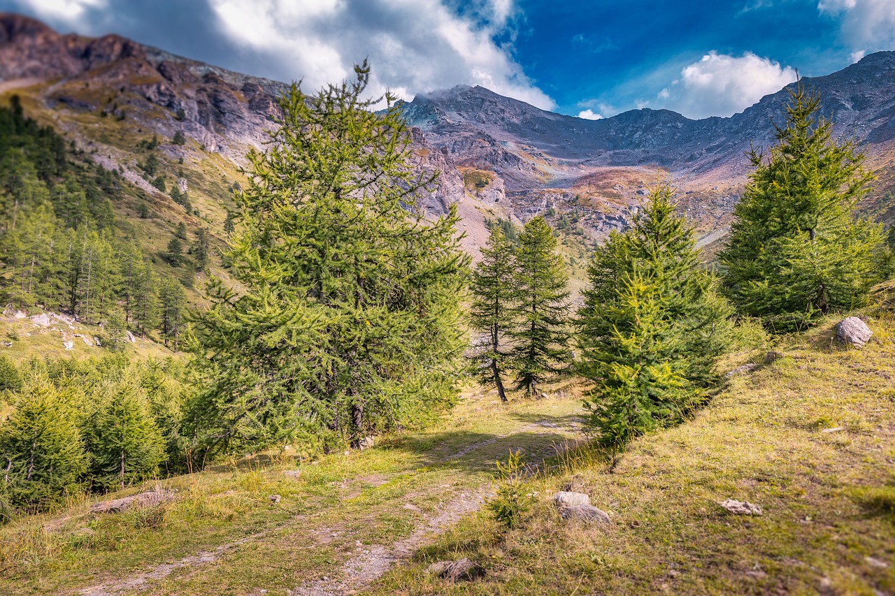 凉山十大旅游景点，探索自然与文化的魅力  凉山十大旅游景点